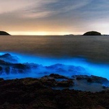 浅汐