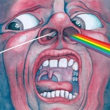 爱猪蹄的土木狗