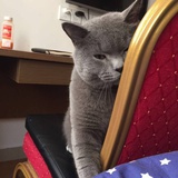 汤圆