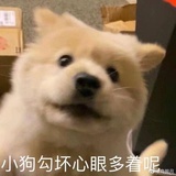 牛仔小旺奶