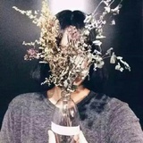 一叶
