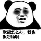 宸迷其中