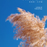 想飞的面包
