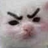 Aaa