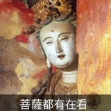 飞锐奥特普通粉