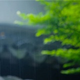 七