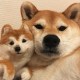 右右