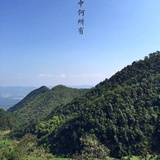 不染