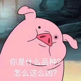 没有头发呜呜