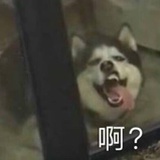 差向异构体