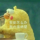 莜莜yoyo