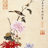 S、狂野