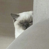 Zoe