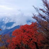 晴川WS
