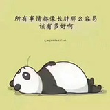 一只叫diva的🐼