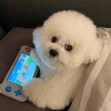 喵气_