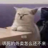 垂耳兔