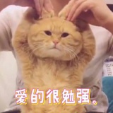 蓝莓