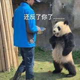 高峰