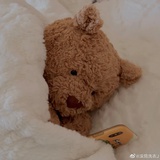 清泉在怀