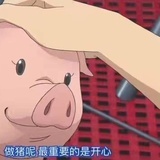 安静的做个鹌鹑