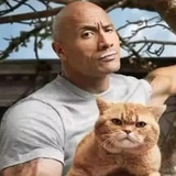 11123