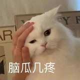 水晶包子小圆脸