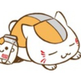 熊宝