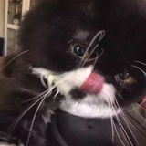 。哈哈镜