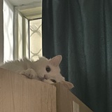 。