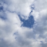 养羊的老虎