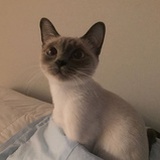 Gloria