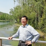 橡树