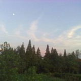静静
