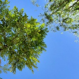 July