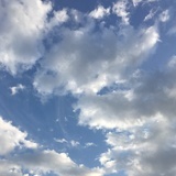 能吃不