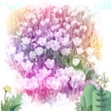 @胡桃木