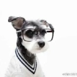 Theodore