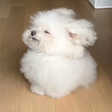 娱乐100%