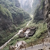 siufongsiufong