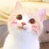 圆咕噜
