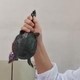 名字会把我搞癫