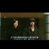威尔蔡