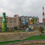 小君主