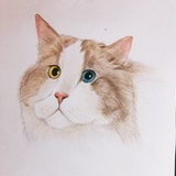 anna_nju