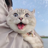氧气