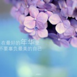 风暖落花轻