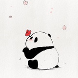 知更鸟