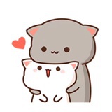 小鱼