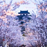 shuihsay